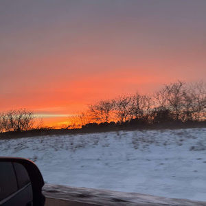 Meet your Posher, Claire